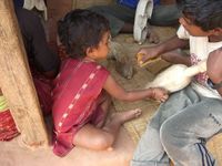 Making a sarangi in Lamjung, Nepal