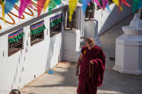 monk walking kora