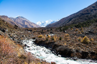 Views from our treks in Nepal