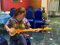 One can take a tutorial in Tibetan or Nepali music. Dranyen lessons is a traditional Tibetan instrument one may study. 